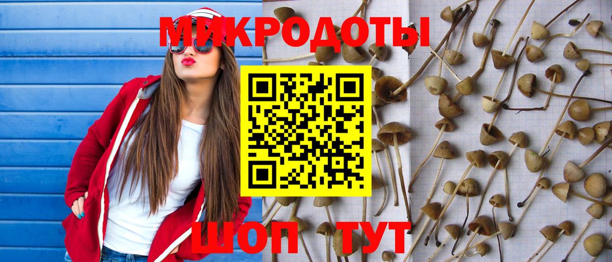Галлюциногенные грибы GOLDEN TEACHER  Псилоцибиновые грибы мухоморы  Вход с VPN  Приморско-Ахтарск 
